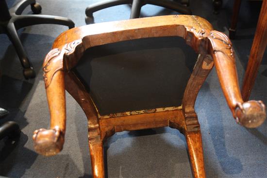 A George I burr walnut side chair, W.1ft 9in. D.1ft 8in. H.3ft 2in.